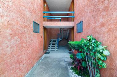 +MS +Suite Placentera +Alberca Área verde Quintana 13A