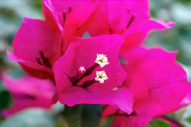 Hostal Azul Puebla Centro Histórico