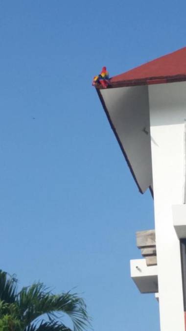 Hotel Cañada Internacional