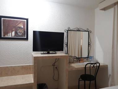 Maya Tulipanes Express