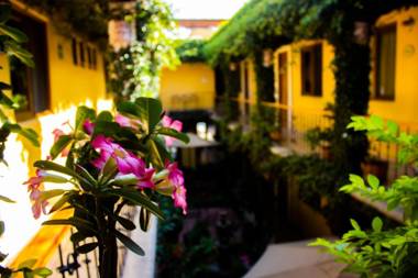Hotel Dainzu