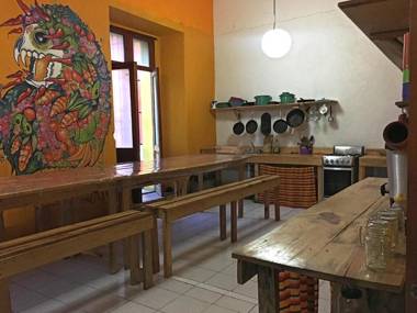 Iguana Hostel Oaxaca