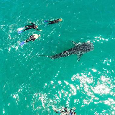 Villa Estrella de Mar