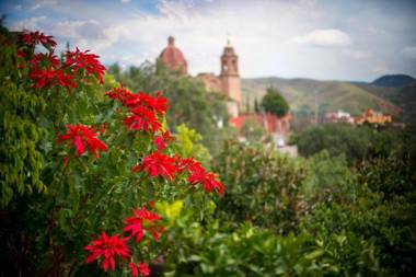Casa Estrella de la Valenciana Hotel Boutique