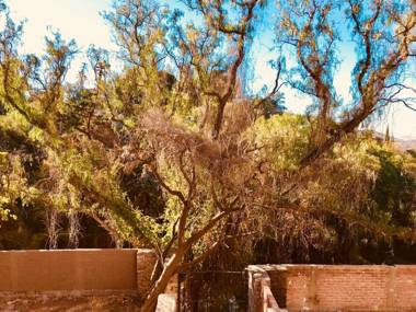 Casona San Cayetano Suites & Lofts by Lunian