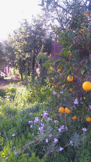 Quinta Maria en la Ruta del Vino