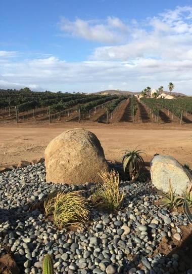 En'kanto Valle de Guadalupe