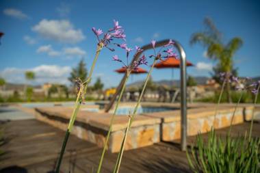 Hacienda Los Olivos Valle de Guadalupe