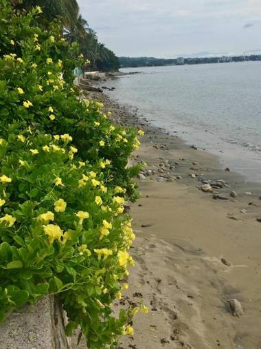 Villas Jardin Del Mar