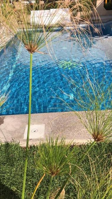 Hotel & Suite del Alba