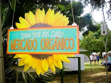 Surf Hostel Cabo "The Riptide"