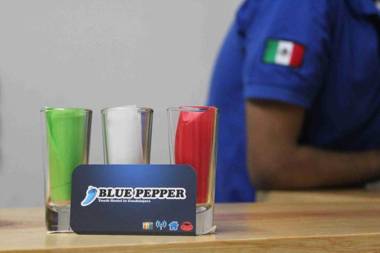Blue Pepper Hostel Chapultepec