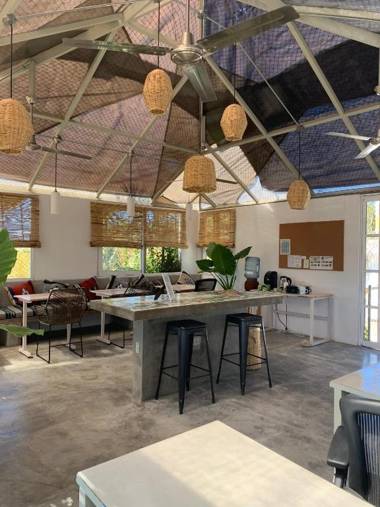 Perro Surfero-Outsite Todos Santos