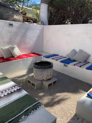 Perro Surfero-Outsite Todos Santos