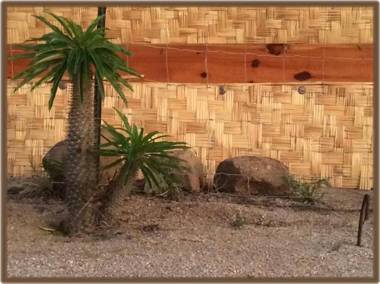 Room in Guest room - Camp - Santos Cabana Constanza