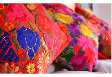 Collection O Casa Bella Hotel Boutique Cabo San Lucas