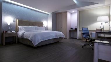 Holiday Inn Express Mexico- Toreo an IHG Hotel