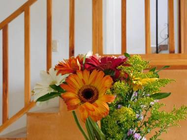 Maria Bonita by Rotamundos