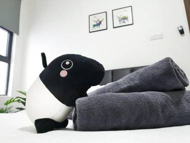 Netflix Wifi COSY Senai Kempas Dsecret Homestay