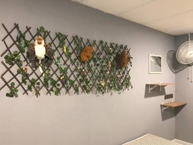 Nusantara Mattwaddien Hostel