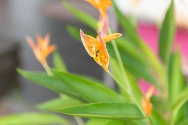 M Motel at Meru Ipoh