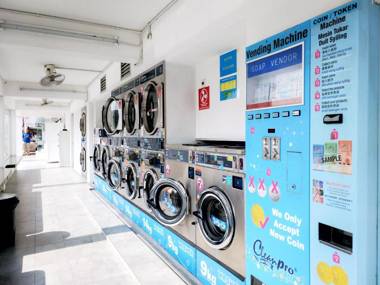 Beds In Garden Hostel