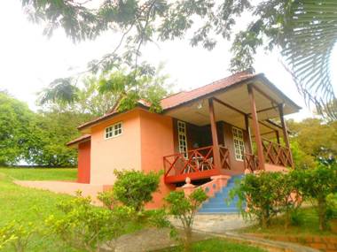 MTFF Farm Stay