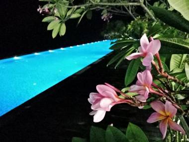 Thermospace Silverscape B-39-06