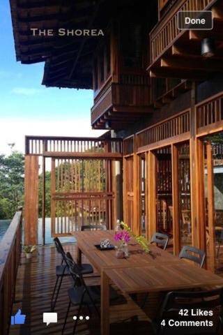 The Shorea