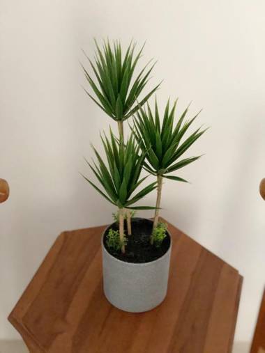 HnR HOMESTAY PORT DICKSON