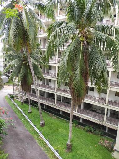 Aurora lights Apartment