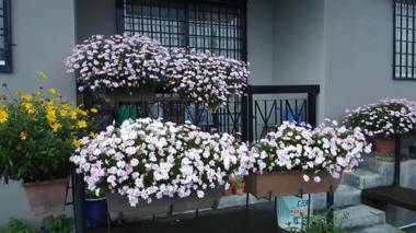 KPW at Royal Lily Apartment