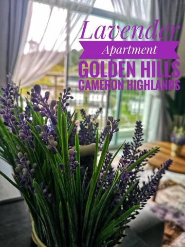 Lavender Apartment 1BR @ Golden Hills Cameron