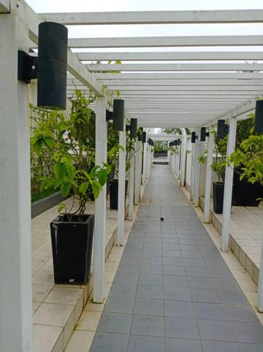 Bishops Cap Cameron Highlands