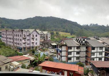 Cameron Tropica Homestay