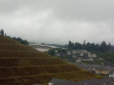 Blue Romance 2 Cameron Highlands