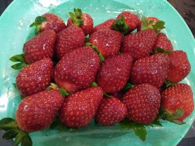 Homestay Mamadhea - Muslim Friendly Suite