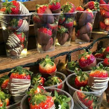 Muslim Boutique Apartment with Balcony