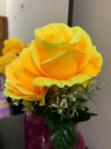 Sitiawan Manjung Da Bella Homestay (Sanitised)