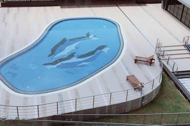 Vivacity Jazz Suites