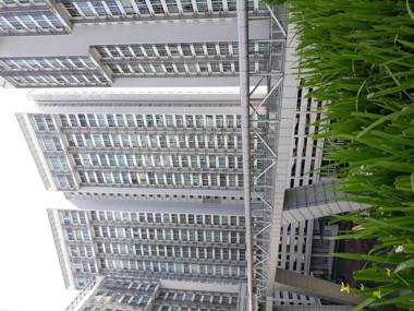 Garden Plaza serviced residence