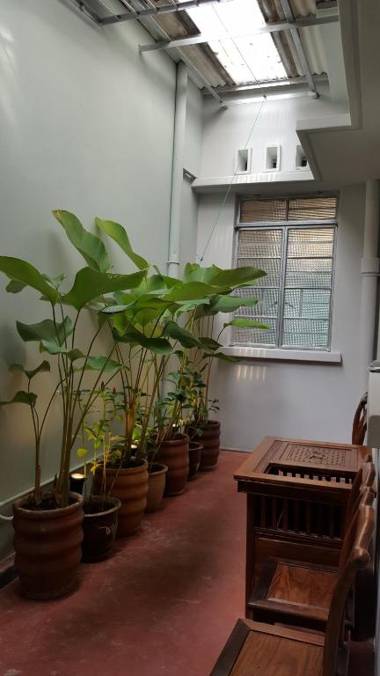 MY CHINAMAN'S HOME II