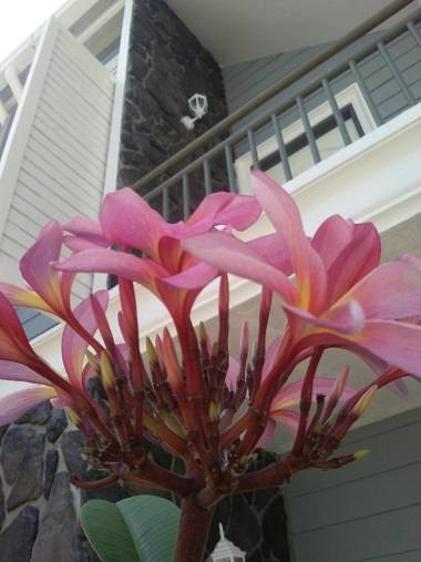 Royale Chenang Resort