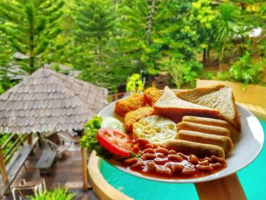 Fig Tree Hills Resort (花果山度假村)