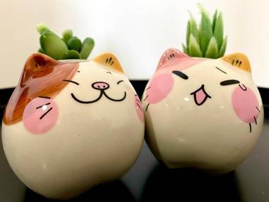 Tropicana 218 Macalister by stayCATion Homestay