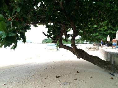 The Barat Perhentian