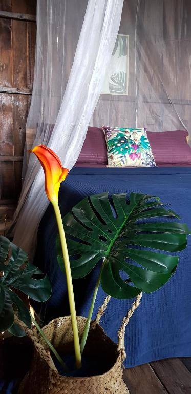 Harrera Perhentian Long Beach