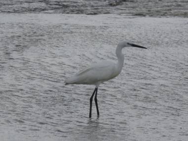Coral Lodge Mozambique