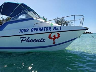 Dolphin Dhow Beach Safaris