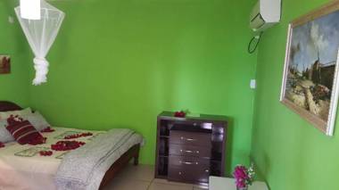 Dolphin Dhow Beach Safaris